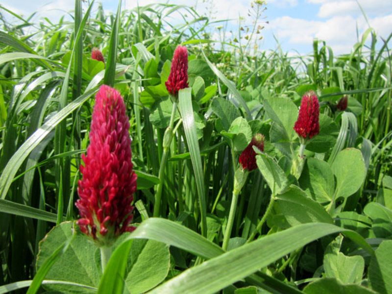 fot_4_newsletter (1).jpg